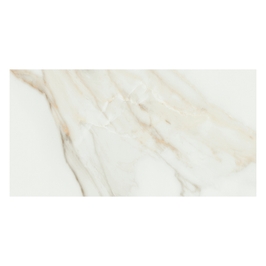 FAIANTA STATUARIO CARVING 30*60 (0.9MP/CUTIE)