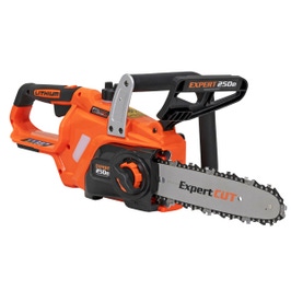 FERASTRAU CU LANT PE BENZINA 1.0KW 25, 4CC, 25CM DED8719