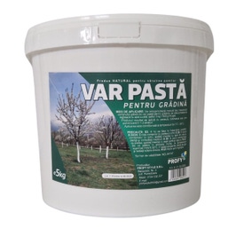 VAR PASTA 5KG